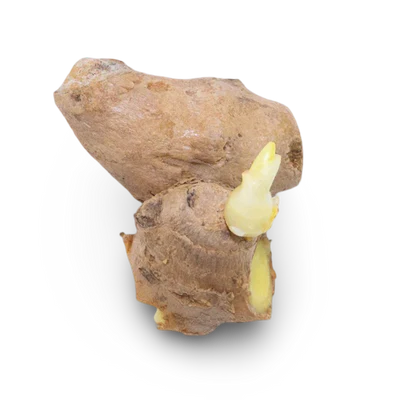 Ginger Root