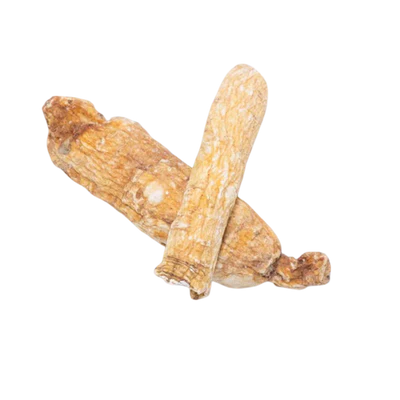 Asian Ginseng