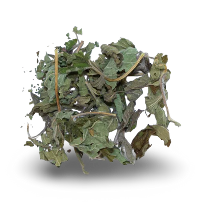 Motherwort
